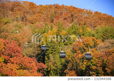 岩岳避暑山莊秋季三期紅葉 岩岳避暑山莊秋季三期紅葉 132944306