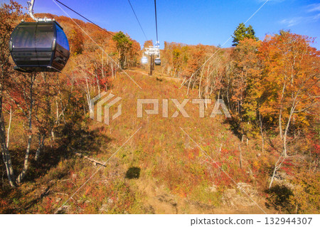 岩岳避暑山莊秋季三期紅葉 132944307