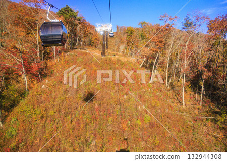 岩岳避暑山莊秋季三期紅葉 132944308