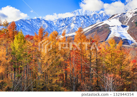 岩岳避暑山莊秋季三期紅葉 132944354