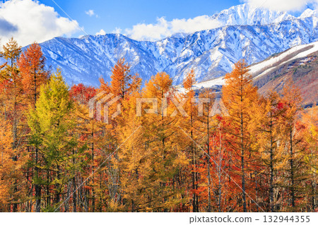 岩岳避暑山莊秋季三期紅葉 132944355