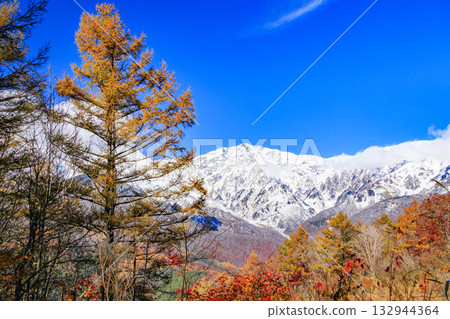 Three stages of autumn leaves from Iwatake Mountain Resort in autumn 132944364