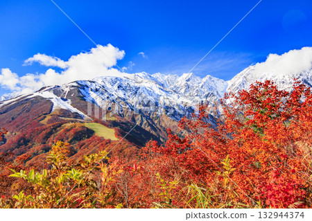 岩岳避暑山莊秋季三期紅葉 132944374