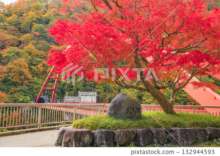 Kurobe Canyon Torokko Railway 132944593