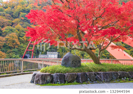 Kurobe Canyon Torokko Railway 132944594