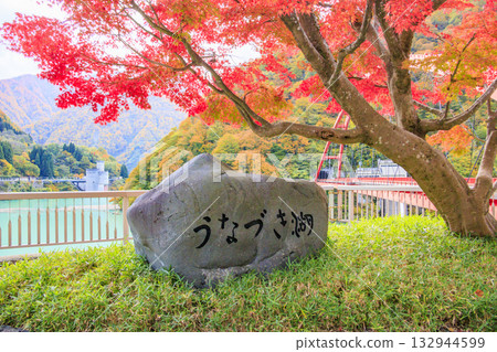 Kurobe Canyon Torokko Railway 132944599