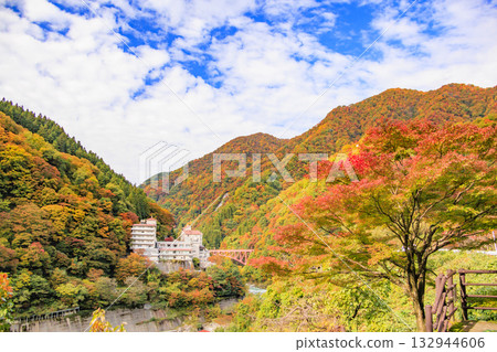 Kurobe Canyon Torokko Railway 132944606