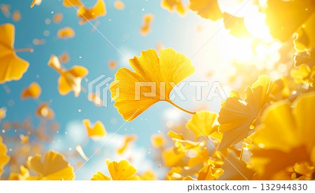 Golden ginkgo leaves dancing in the clear blue autumn sky. 132944830