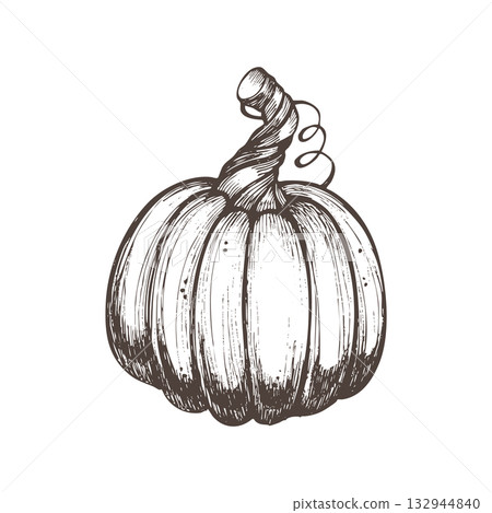 Hand-drawn vintage pumpkin illustration in ink line art style. Perfect for autumn designs, Thanksgiving decor, Halloween invitations, and botanical prints. 132944840