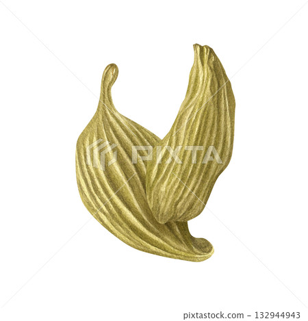 Two cardamom pods watercolor illustration on isolated background. Aromatic Indian dried spice seeds for drink and cooking. Exotic seasoning ingredient composition for recipe decor, beverage poster. Two cardamom pods watercolor illustration on isolated background. Aromatic Indian dried spice seeds for drink and cooking. Exotic seasoning ingredient composition for recipe decor, beverage poster. 132944943