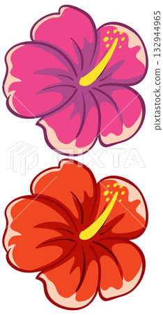 Colorful Hibiscus Flowers Vector Illustration with Bold Outlines 132944965