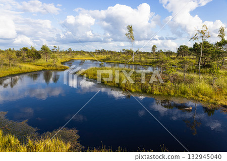 Kemeri Bog Pools, Latvia - Reflections in Raised Peatland at Kemeri National Park Kemeri Bog Pools, Latvia - Reflections in Raised Peatland at Kemeri National Park 132945040