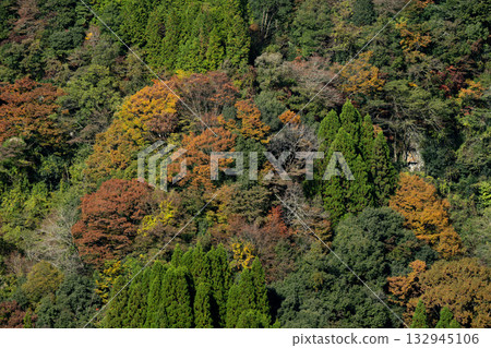 一座變成紅色葉子的山 132945106