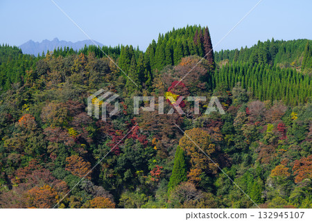 山上轉紅葉 132945107