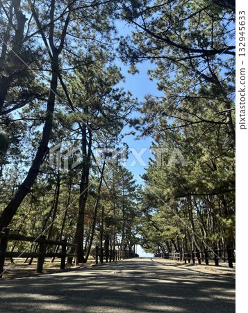 公園長廊 公園長廊 132945633