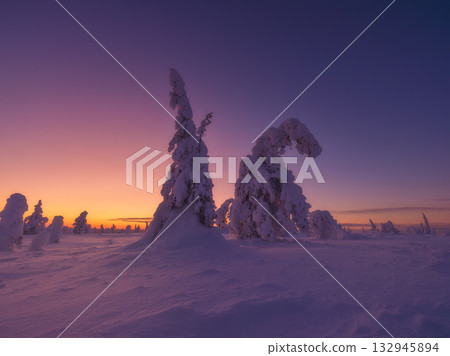 Lapland, Finland. Winter landscape during sunset. Trees covered with snow. Winter wonderland. Lapland, Finland. Winter landscape during sunset. Trees covered with snow. Winter wonderland. 132945894