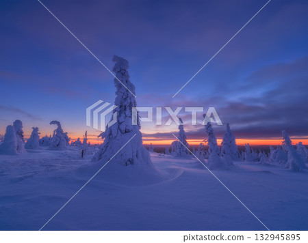 Northern winter landscape during sunset. Trees covered with snow. Winter wonderland. Northern winter landscape during sunset. Trees covered with snow. Winter wonderland. 132945895