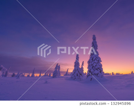 Lapland, Finland. Winter landscape during sunset. Trees covered with snow. Winter wonderland. Lapland, Finland. Winter landscape during sunset. Trees covered with snow. Winter wonderland. 132945896