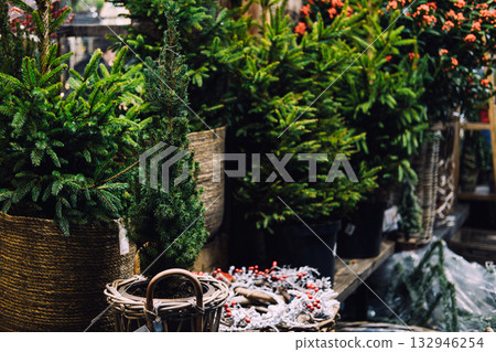 Various potted evergreens and festive wreaths are displayed together in a cozy retail setting. Urban nature integration, biophilic holiday decor, sustainable city living, eco-conscious interiors 132946254