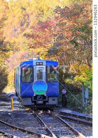 甲米線甲斐大泉站秋葉 132946263