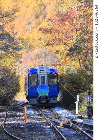 Koumi Line Kai-Oizumi Station Autumn leaves Koumi Line Kai-Oizumi Station Autumn leaves 132946264