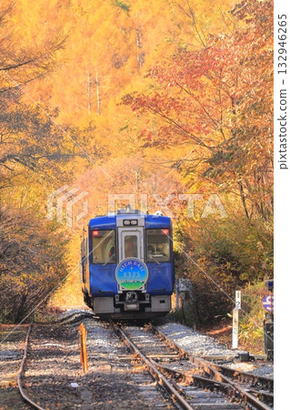 Koumi Line Kai-Oizumi Station Autumn leaves 132946265