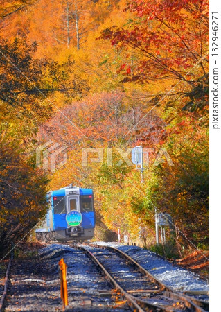 Koumi Line Kai-Oizumi Station Autumn leaves Koumi Line Kai-Oizumi Station Autumn leaves 132946271