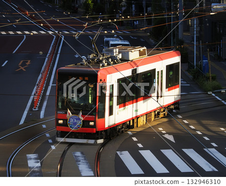 Tokyo Sakura Tram (Toden Arakawa Line), combined track, Asukayama intersection Tokyo Sakura Tram (Toden Arakawa Line), combined track, Asukayama intersection 132946310