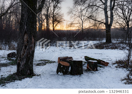Snow-dusted riverside logs rest quietly, backed by forest aglow in warm light. 132946331