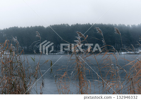 Frosty Reeds on a Frozen Lake Shore in Winter Fog 132946332