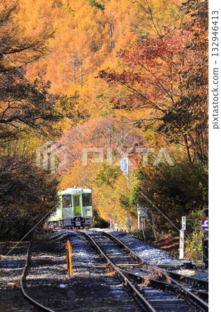 Koumi Line Kai-Oizumi Station Autumn leaves Koumi Line Kai-Oizumi Station Autumn leaves 132946413
