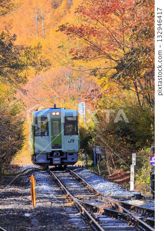 甲米線甲斐大泉站秋葉 132946417