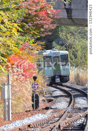 Koumi Line Kai-Oizumi Station Autumn leaves Koumi Line Kai-Oizumi Station Autumn leaves 132946425