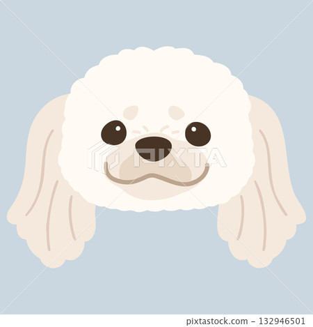 一幅簡潔可愛的白色北京犬臉部插圖(無主要線條) 一幅簡潔可愛的白色北京犬臉部插圖(無主要線條) 132946501