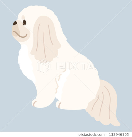 一幅簡單可愛的白色北京犬側坐的插圖(沒有主要線條)。 一幅簡單可愛的白色北京犬側坐的插圖(沒有主要線條)。 132946505