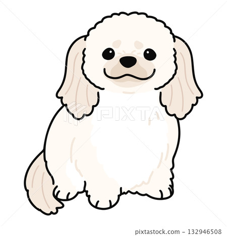 一幅簡潔可愛的白色北京犬坐姿正面插圖（以主要線條勾勒）。 132946508