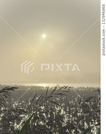 A fantastical lakeside scene shrouded in morning mist A fantastical lakeside scene shrouded in morning mist 132946868
