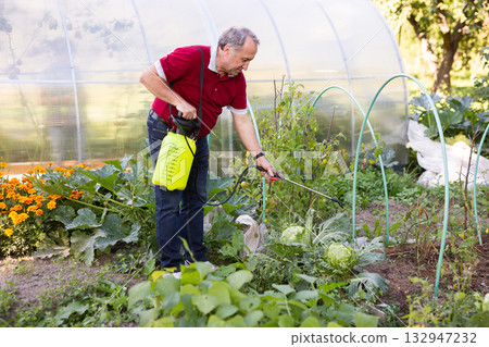 Male farmer spraying his garden with insecticides from spray bottle Male farmer spraying his garden with insecticides from spray bottle 132947232