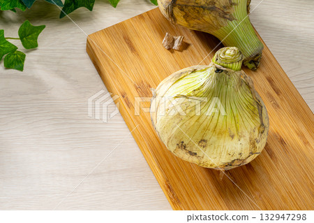 Fresh new onions in season in spring Fresh new onions in season in spring 132947298
