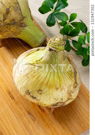 Fresh new onions in season in spring Fresh new onions in season in spring 132947302