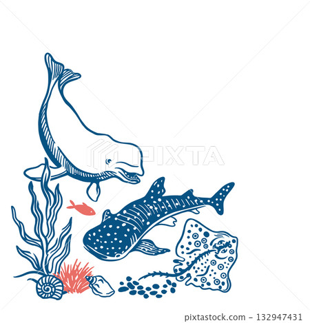 Marine animals. Tiger shark, beluga dolphin, stingray, seaweed and shells. Hand drawn vector line art illustration in blue for posters and banners. Perfect for travel postcards. 132947431