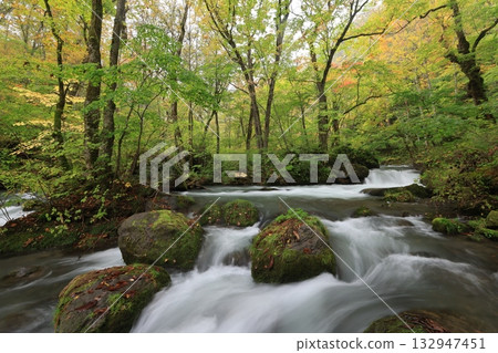 Flow of Asura 132947451