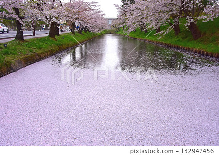 The beauty of cherry blossoms and flower rafts in Hirosaki Park The beauty of cherry blossoms and flower rafts in Hirosaki Park 132947456