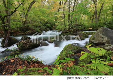 Flow of Asura Flow of Asura 132947480