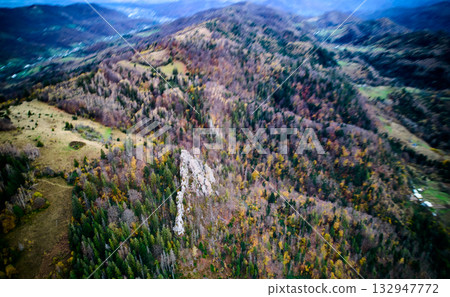 Dynamic aerial view of rocks highlights stark contrast between towering rock formation and vibrant autumn forest. Varied landscape includes dense woods and open meadows, creating picturesque scene. Dynamic aerial view of rocks highlights stark contrast between towering rock formation and vibrant autumn forest. Varied landscape includes dense woods and open meadows, creating picturesque scene. 132947772