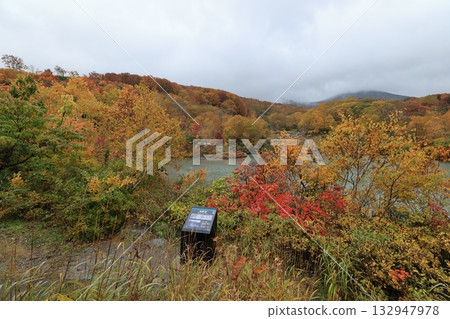 一座墓地 132947978