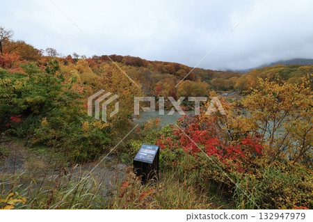 一座墓地 132947979