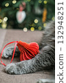 Vertical close-up of gray, furry paw of long-haired cat holding a vibrant red pleated Christmas ornament with decorated tree blurred in background. Cozy holiday moments 132948251