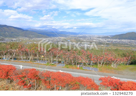 Discard service area 132948270