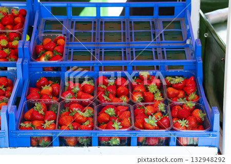 Fresh strawberries selling at market stall in Treves 132948292